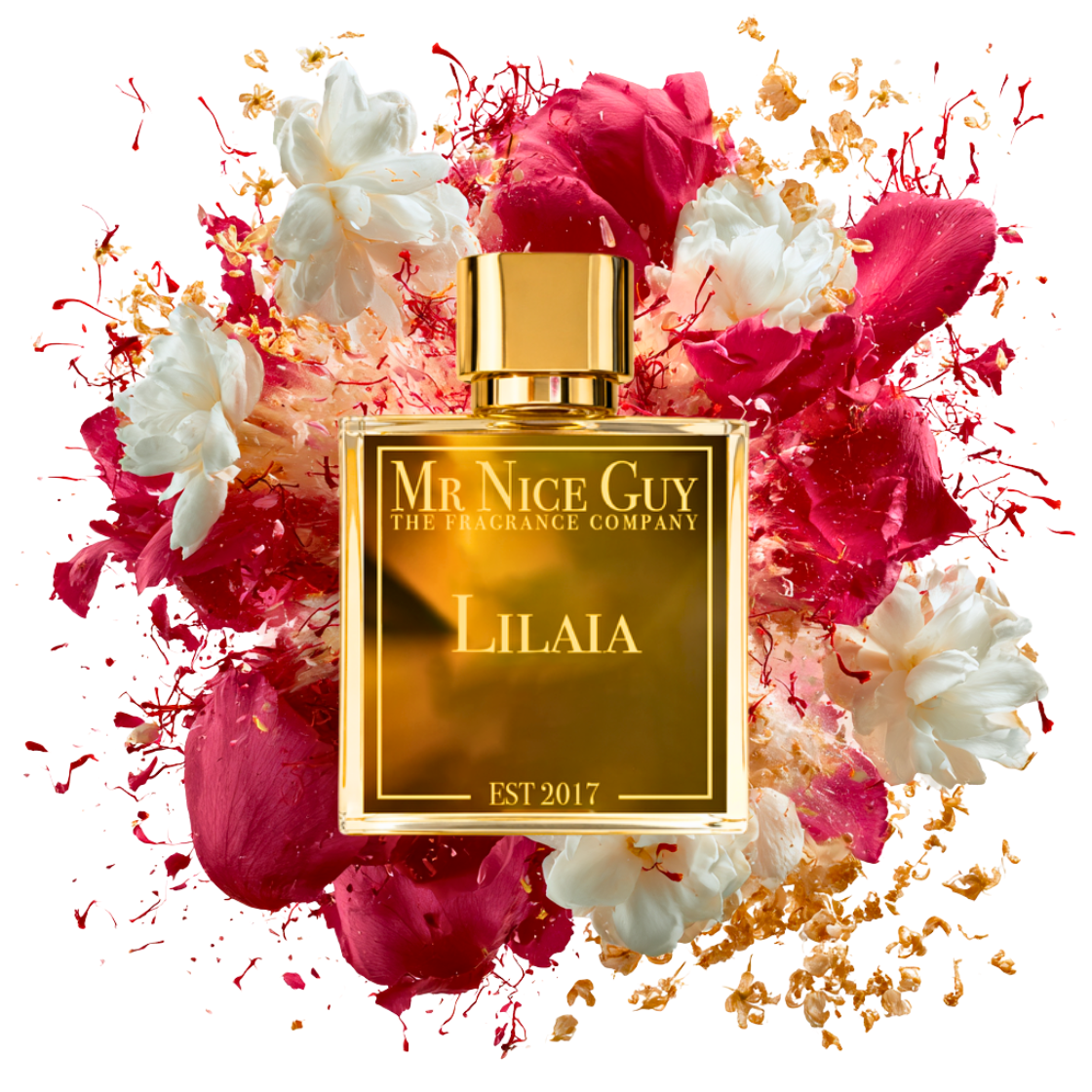 Lilaia - MrNiceGuy