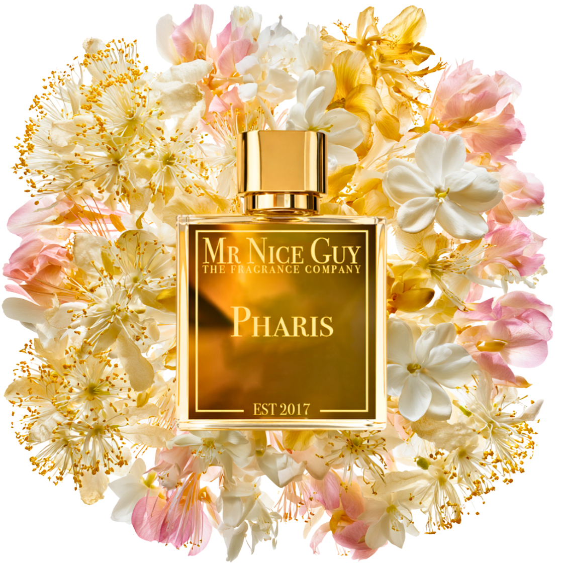 Pharis - Mr Nice Guy