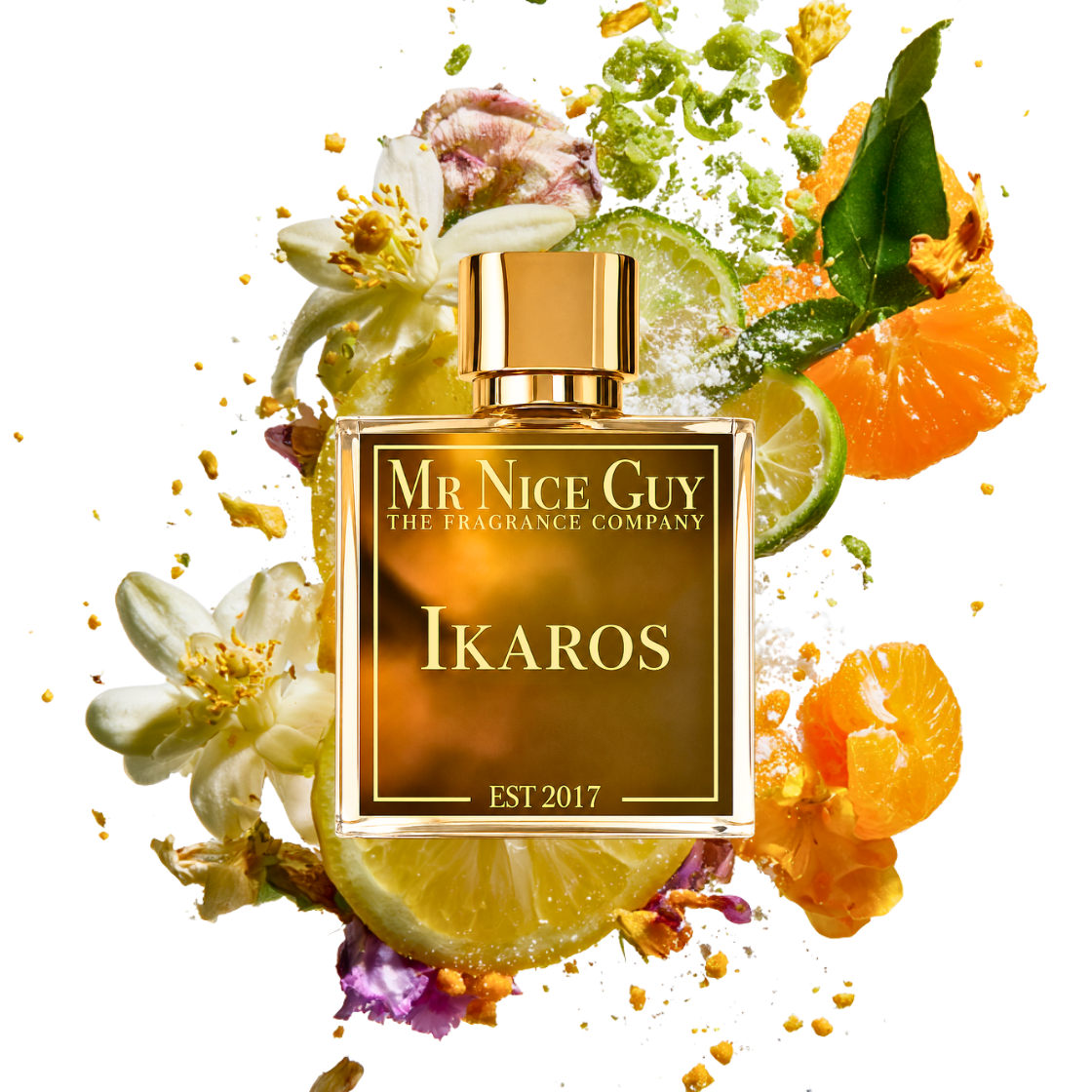 Ikaros - Mr Nice Guy
