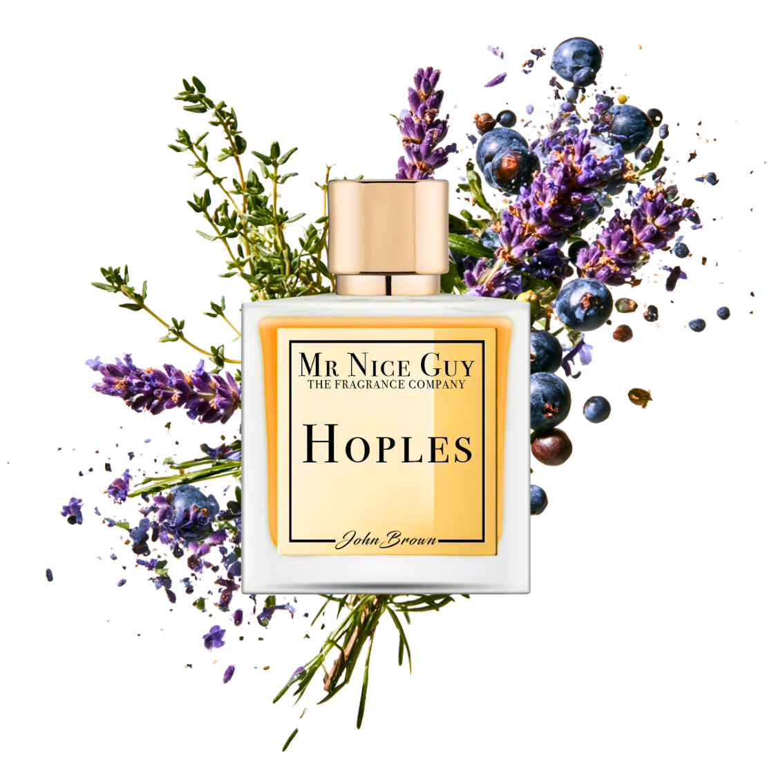 Hoples - Mr Nice Guy
