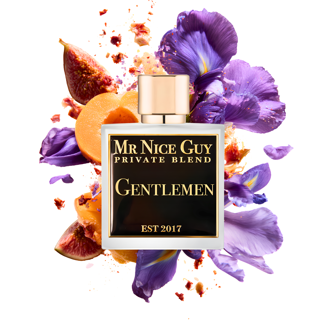 Gentlemen - Mr Nice Guy