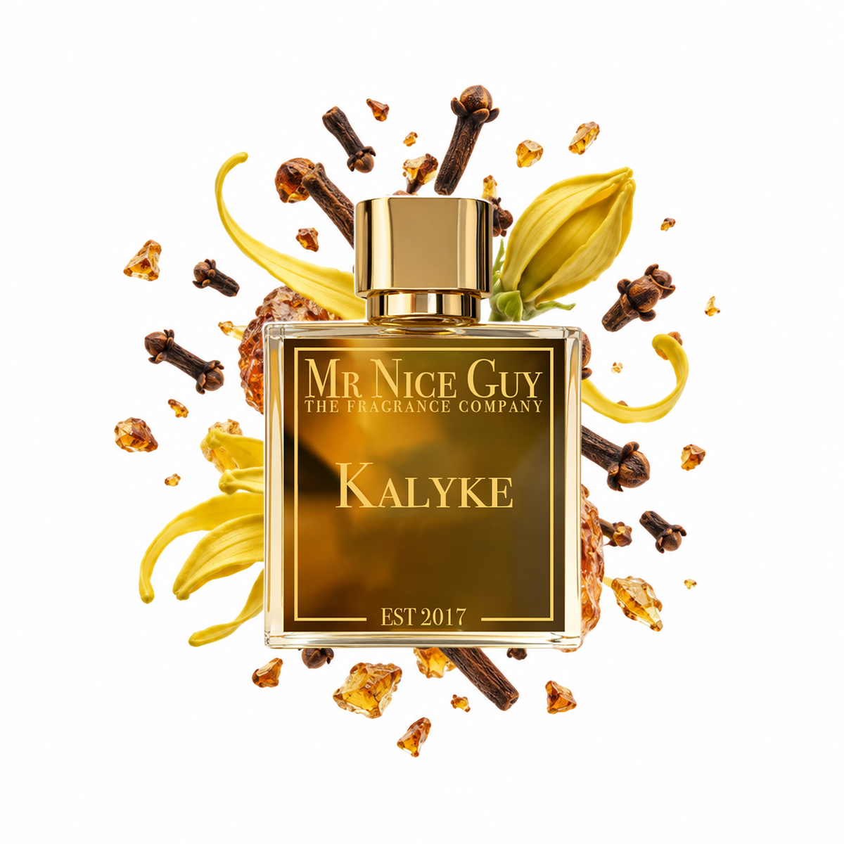 Kalyke - Mr Nice Guy Parfum 50ml mit Gewürznelke, Ylang-Ylang und Bernstein