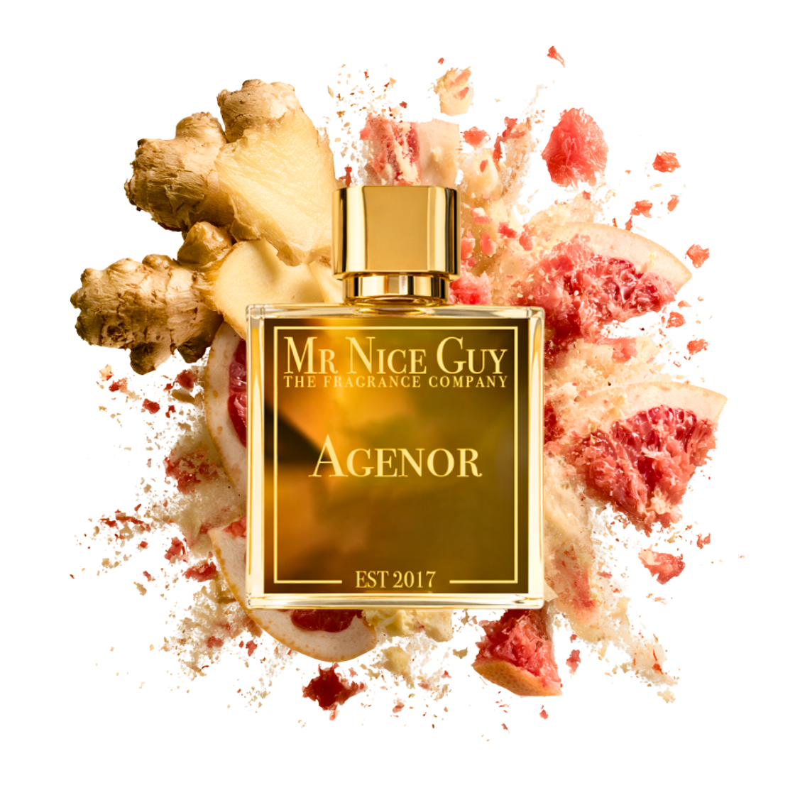 Agenor - MrNiceGuy
