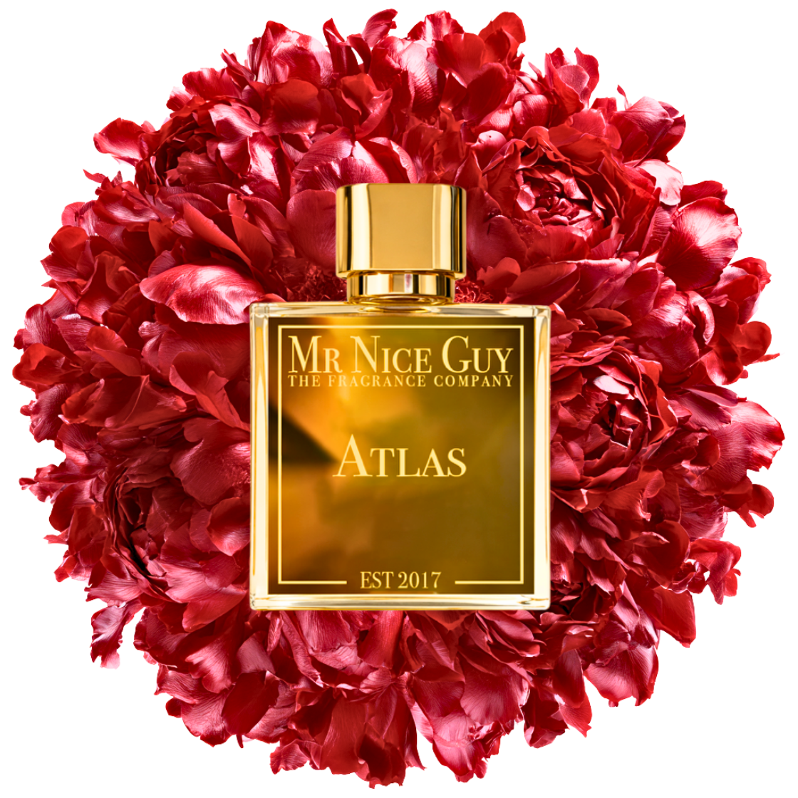 Atlas - MrNiceGuy