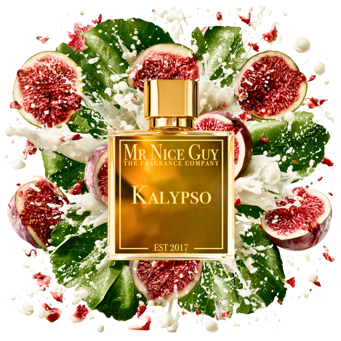Kalypso - MrNiceGuy