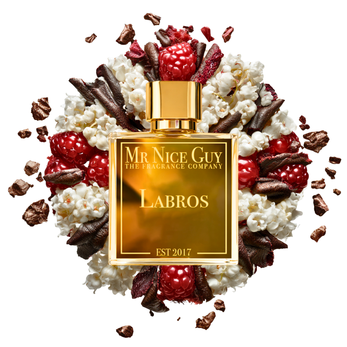 Labros - MrNiceGuy