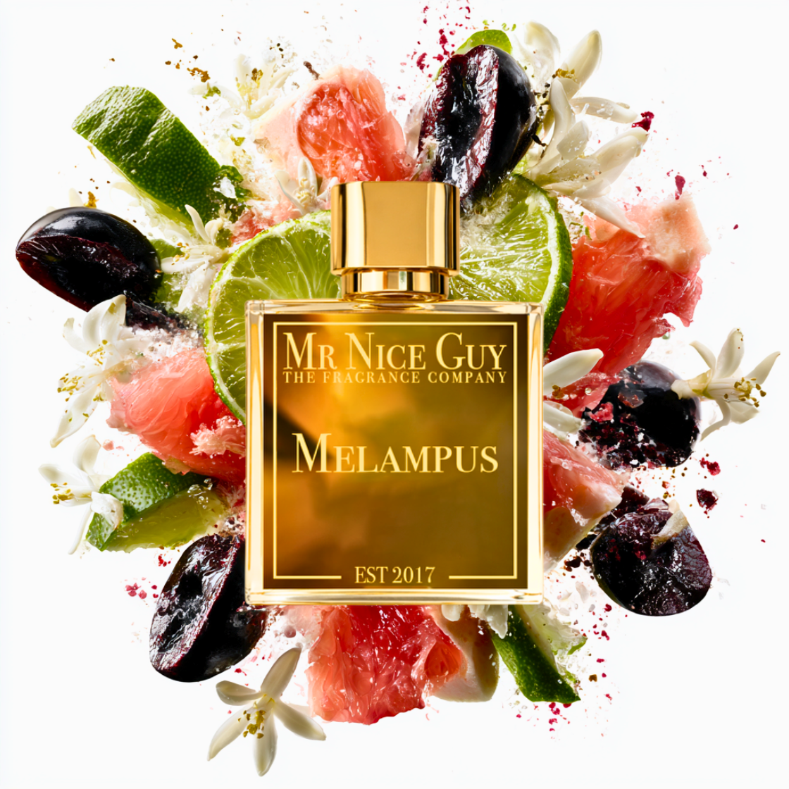 Melampus - MrNiceGuy
