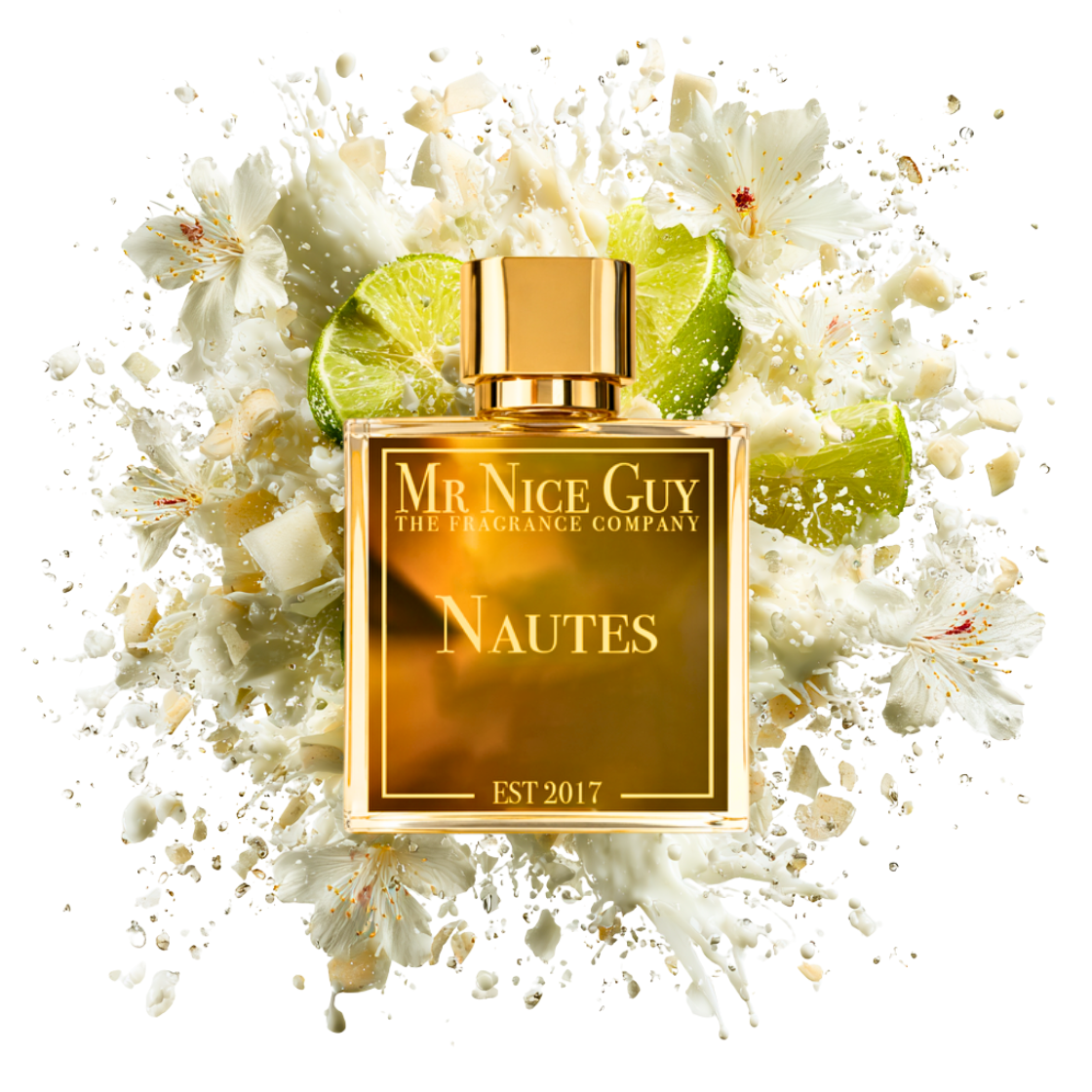 Nautes - MrNiceGuy