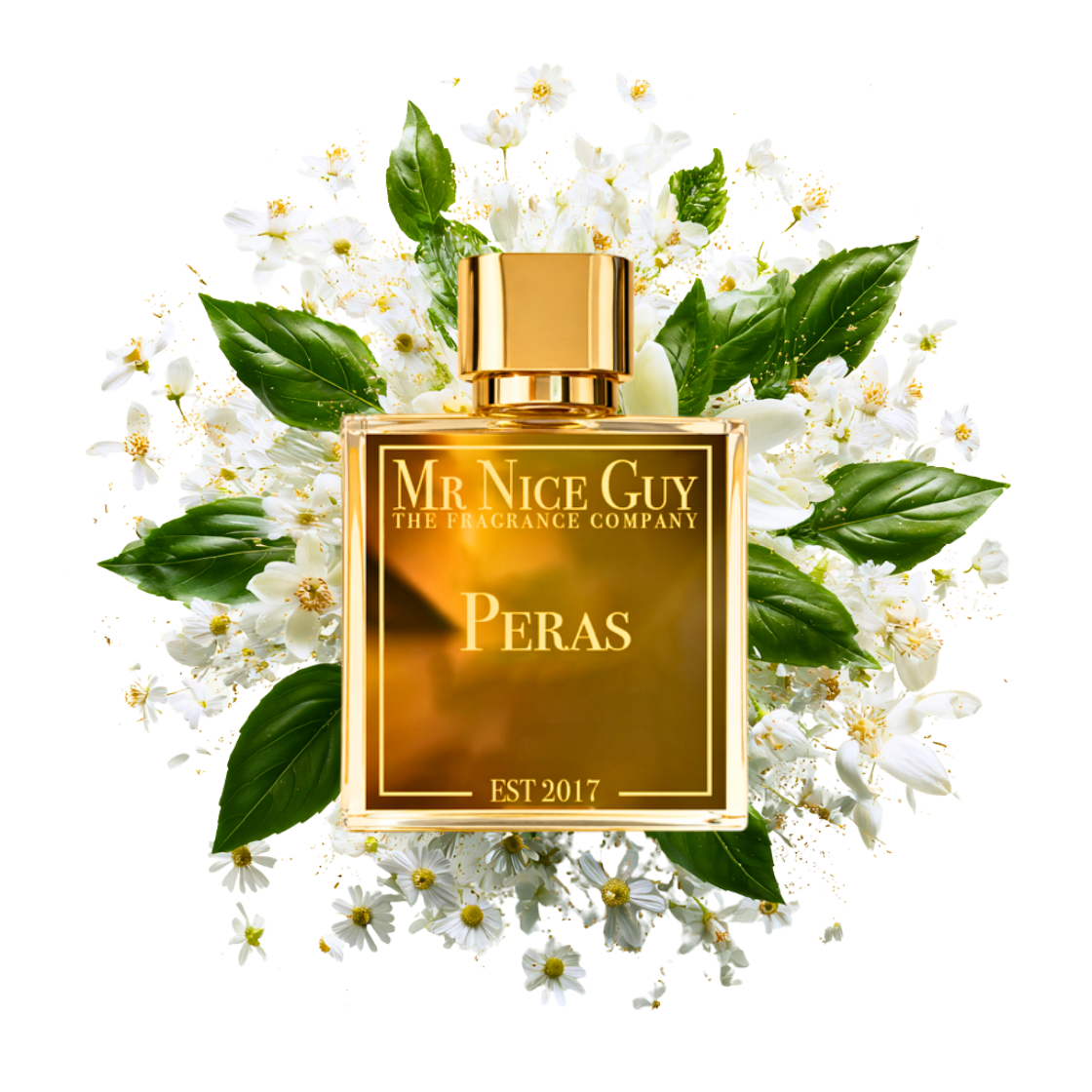 Peiras - MrNiceGuy