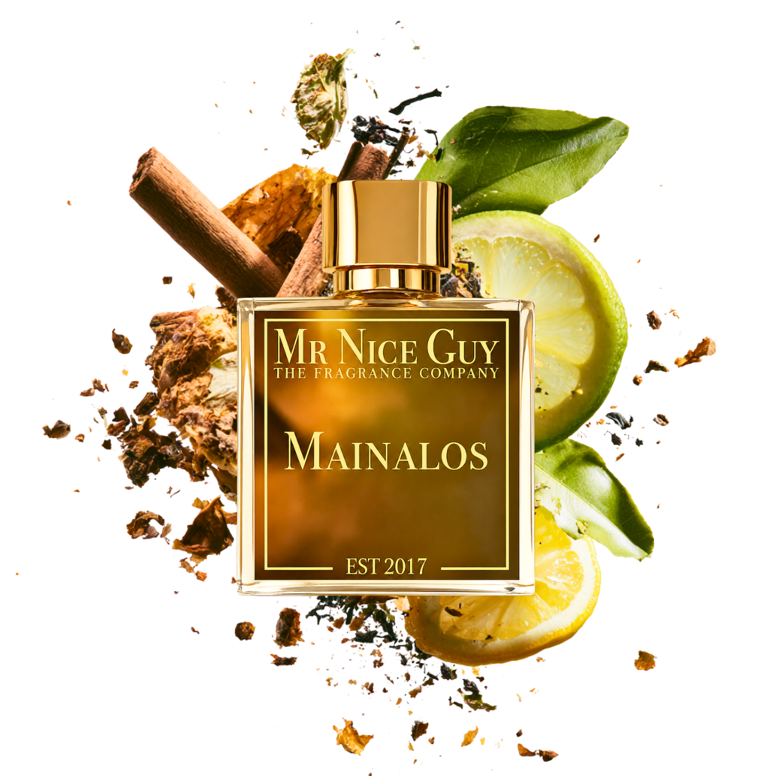Mainalos - Mr Nice Guy