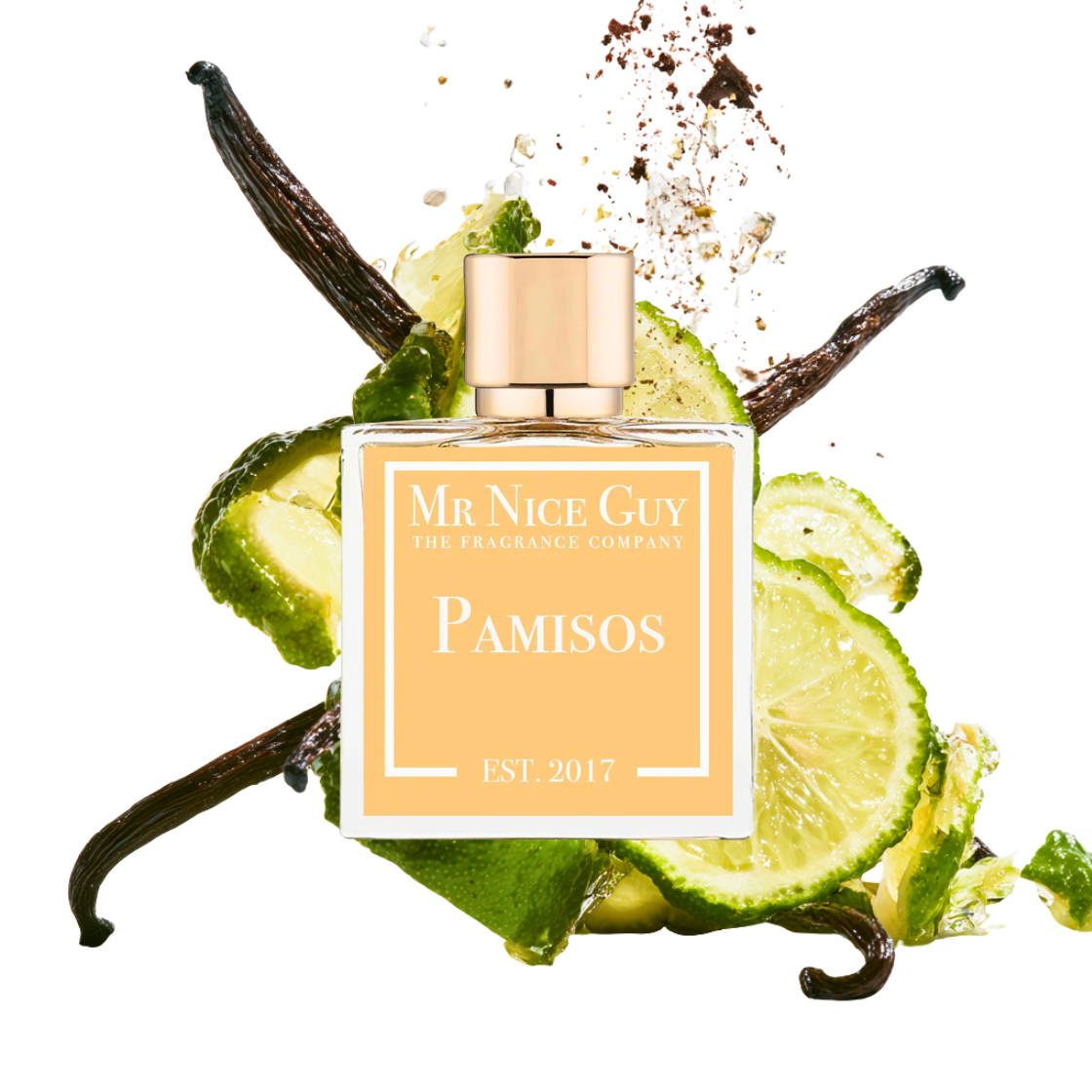 Pamisos - Mr Nice Guy