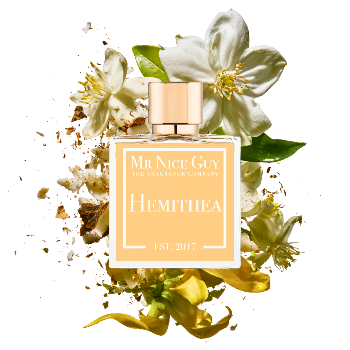 Hemithea - Mr Nice Guy
