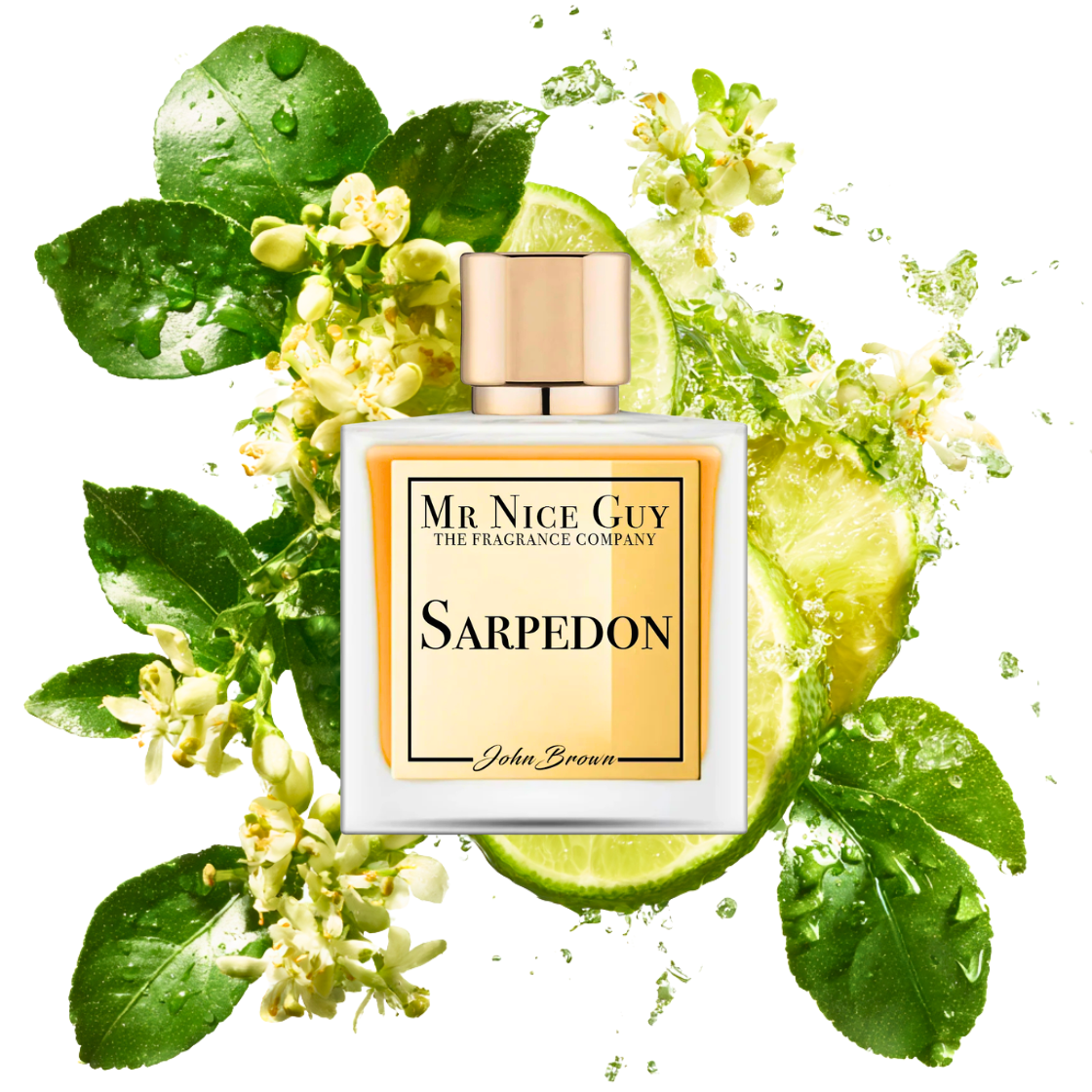 Sarpedon - Mr Nice Guy