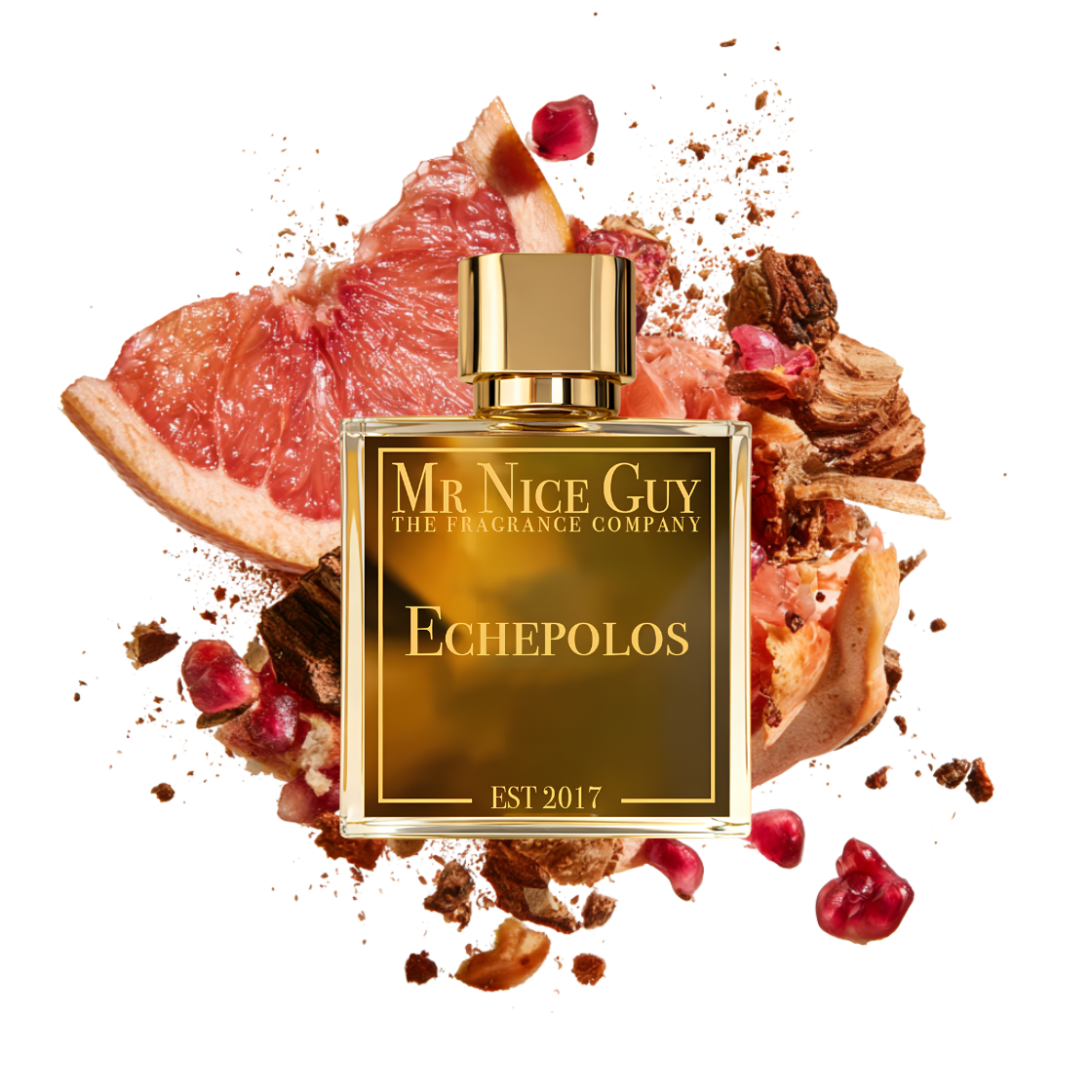 Echepolos - Mr Nice Guy