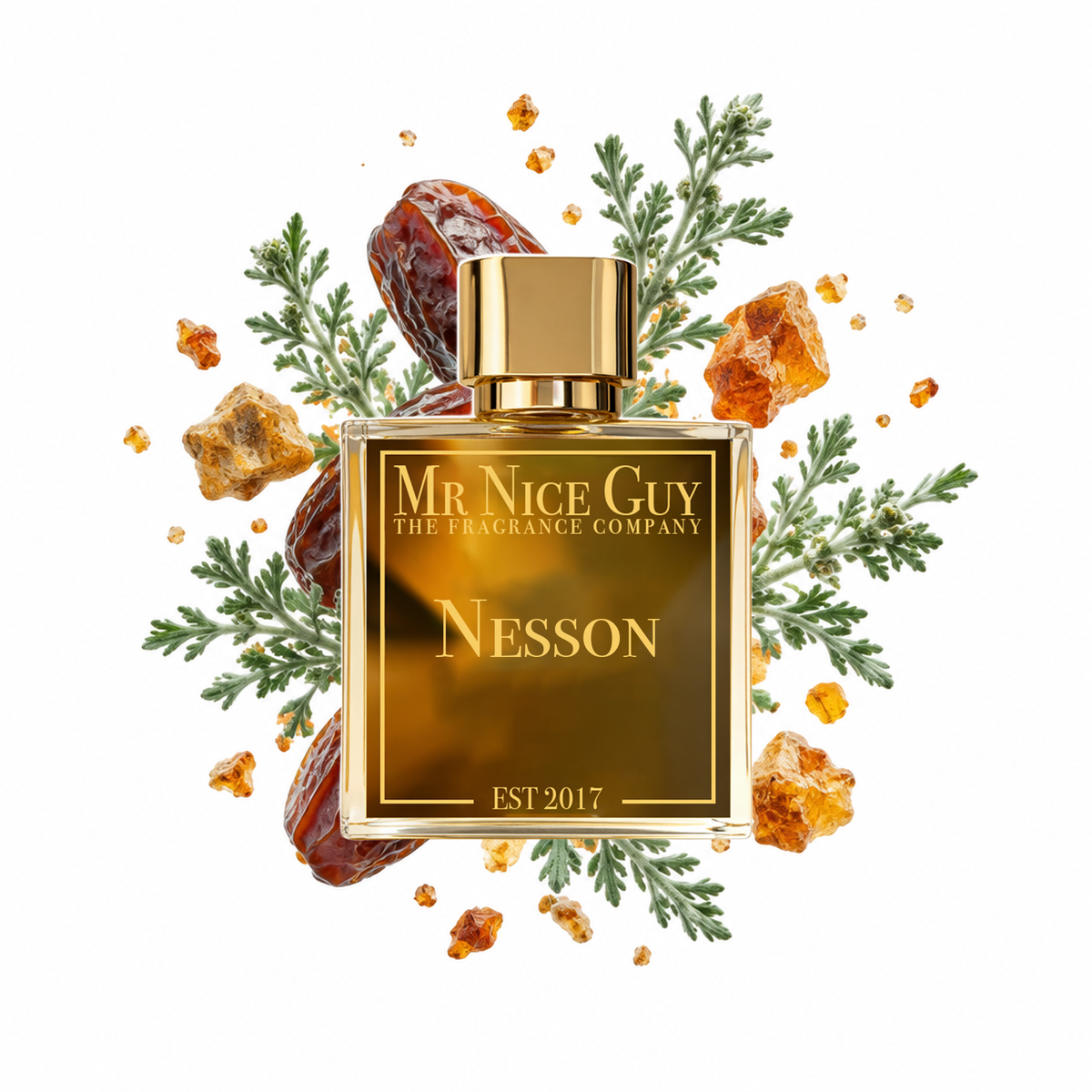 Nesson - Mr Nice Guy Parfum 50ml mit Datteln, Artemisia und Ambra