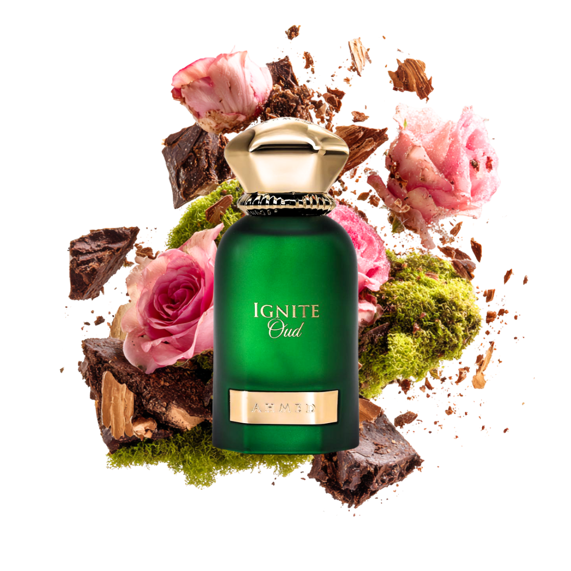 Ignite Oud - Ahmed al Maghribi