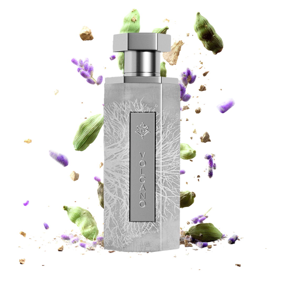 REEF - Volcano