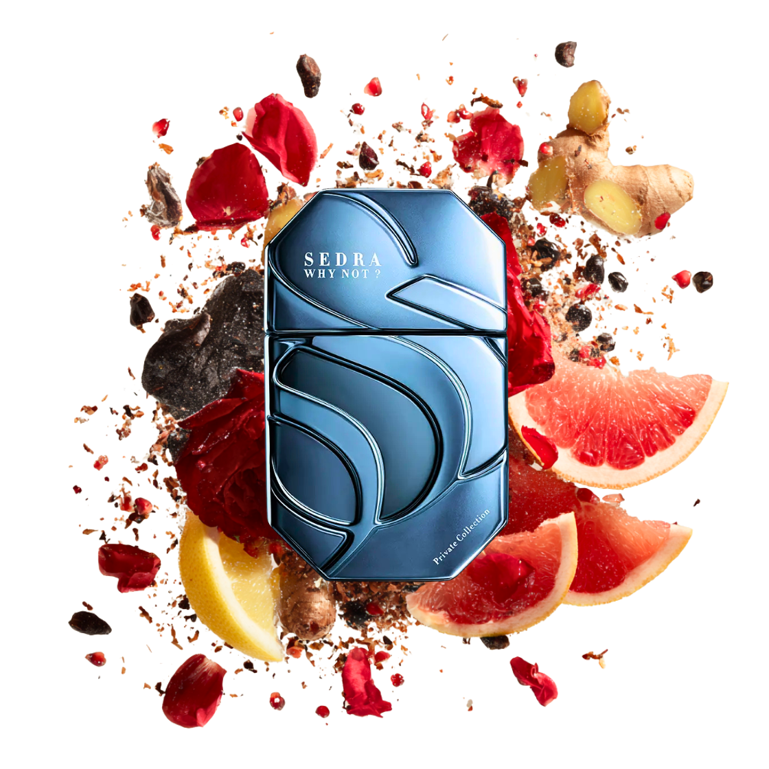 Sedra- Why Not?, 90ml, blauer edler Flakon umgeben von Ingwer, Grapefruit und Rosenblüten.