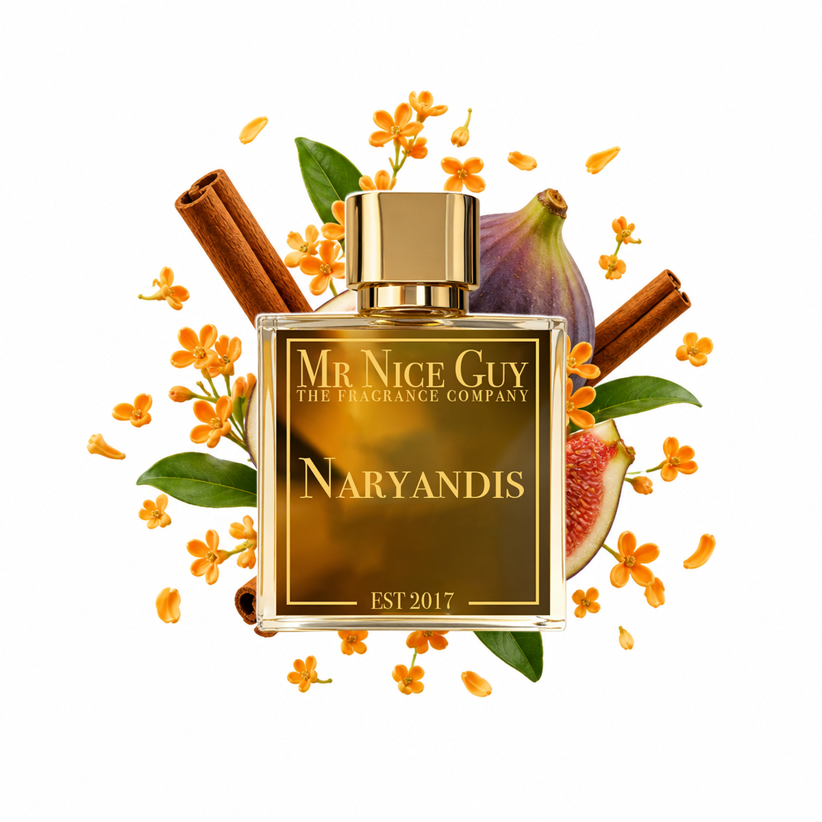Naryandis - Mr Nice Guy Parfum 50ml mit Feige, Osmanthus und Zimt