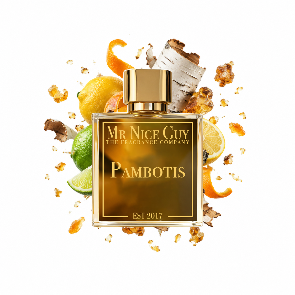 Pambotis - Mr Nice Guy Parfum 50ml mit Zitrusfrüchten, Birke und Benzoeharz