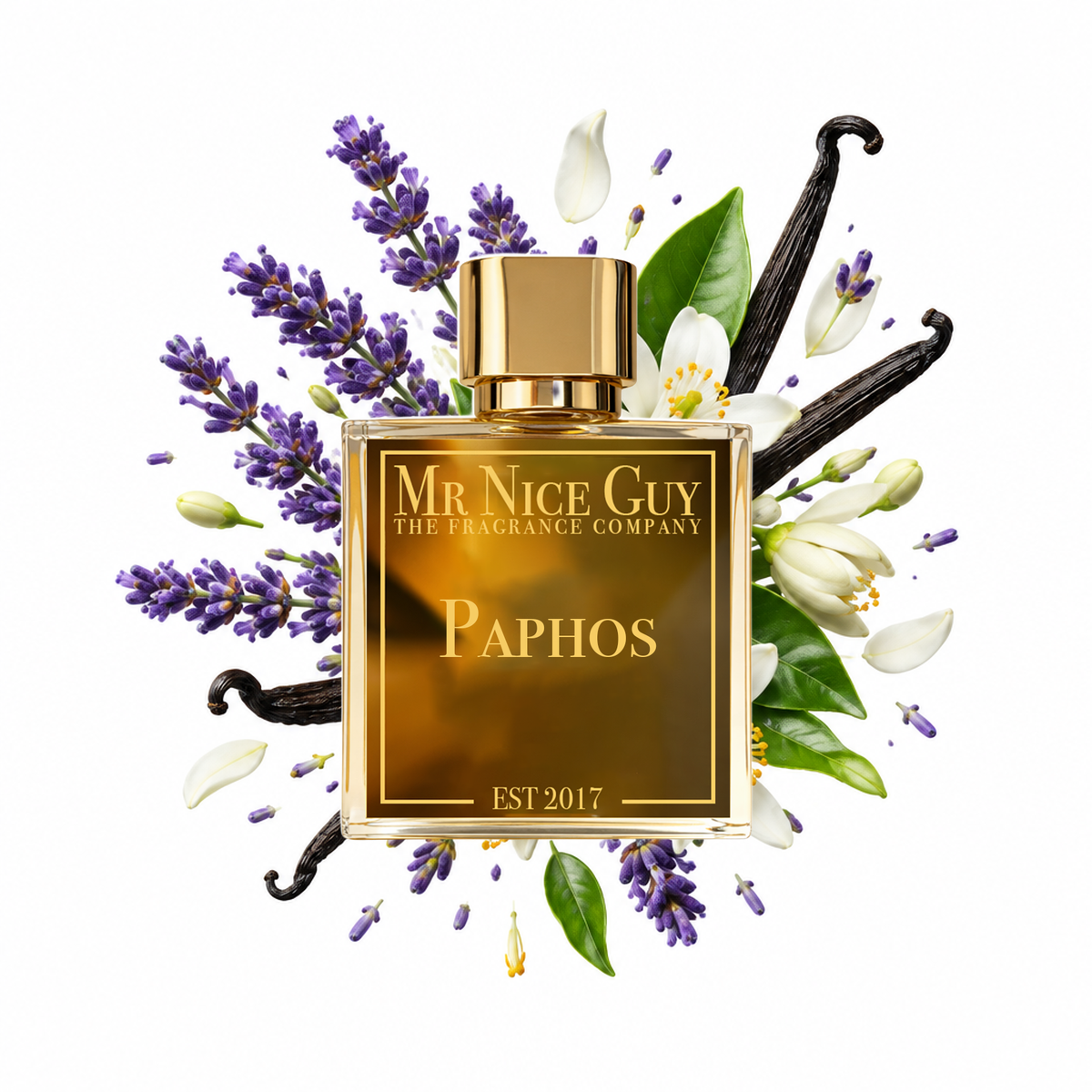 Paphos - Mr Nice Guy Parfum 50ml mit Lavendel, Neroli und Vanille