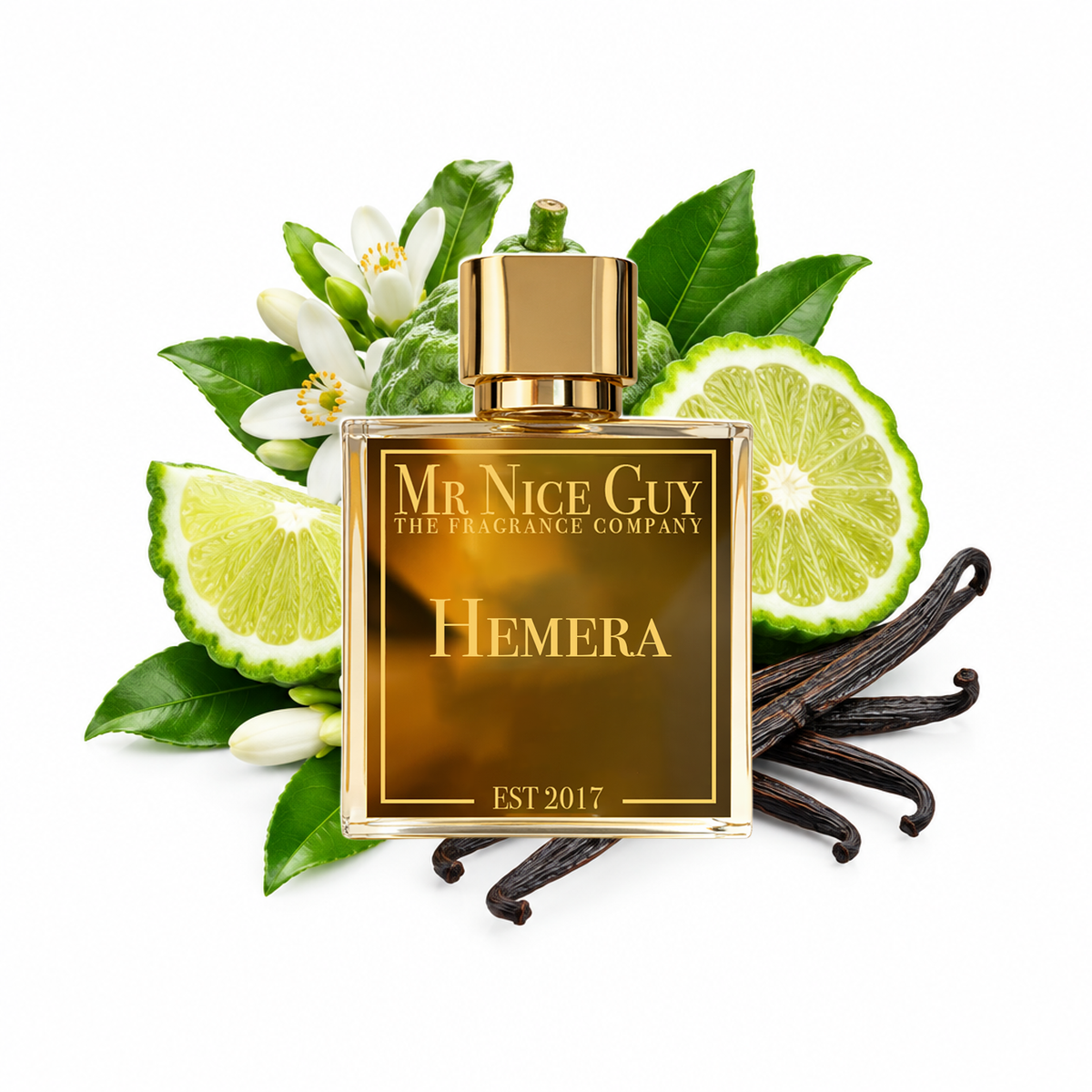 Hemera - Mr Nice Guy Parfum 50ml mit Bergamotte, Orangenblüte und Vanille